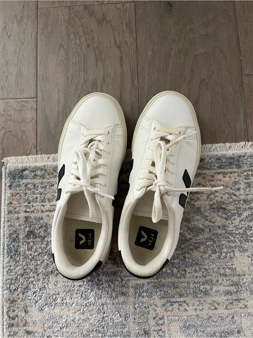 Veja Leather Low-Top Sneaker in White and Black
